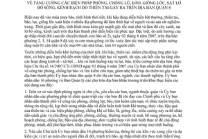 Chỉ thị 07/2007/CT-UBND tăng cường biện pháp phòng, chống lũ, bão, giông lốc, sạt lở bờ sông, kênh rạch thiên tai gây ra địa bàn Quận 8