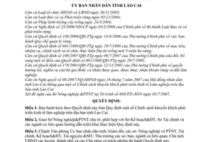 Quyết định 52/2007/QĐ-UBND chính sách khuyến khích phát triển kinh tế lâm nghiệp trên địa bàn tỉnh Lào Cai
