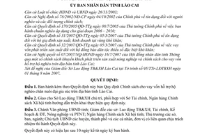 Quyết định 53/2007/QĐ-UBND Chính sách cho vay vốn hỗ trợ hộ nghèo chăn nuôi đại gia súc trên địa bàn tỉnh Lào Cai