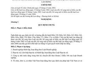 Nghị định 133/2007/NĐ-CP hướng dẫn luật sửa đổi, bổ sung một số điều của bộ luật lao động giải quyết tranh chấp lao động