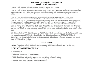 Nghị quyết 163/2007/NQ-HĐND chế độ, định mức chi hoạt động của hội đồng nhân dân
