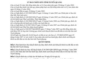 Quyết định 25/2007/QĐ-UBND chính sách khuyến khích ưu đãi đầu tư