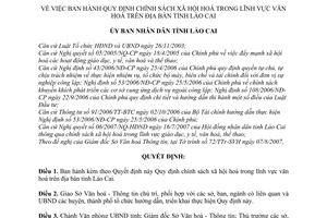 Quyết định 63/2007/QĐ-UBND chính sách xã hội hoá trong lĩnh vực văn hóa