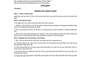 Nghị định 134/2007/NĐ-CP đơn vị đo lường chính thức