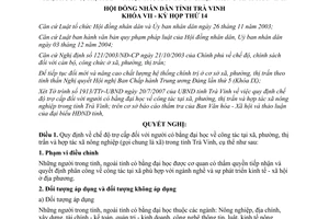 Nghị quyết 11/2007/NQ-HĐND trợ cấp người có bằng đại học công tác xã phường thị trấn Trà Vinh