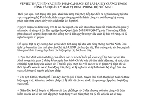Chỉ thị 39/CT-UBND 2007 biện pháp cấp bách quản lý bảo vệ rừng phòng hộ Phú Ninh Quảng Nam
