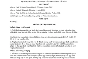 Nghị định 129/2007/NĐ-CP xử phạt vi phạm hành chính về đê điều