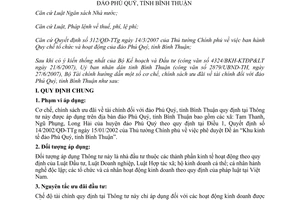 Thông tư 93/2007/TT-BTC hướng dẫn cơ chế, chính sách ưu đãi tài chính đảo Phú Quý Bình Thuận