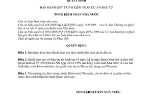 Quyết định 05/2007/QĐ-KTNN Quy trình kiểm toán dự án đầu tư