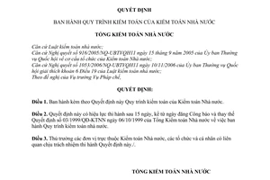 Quyết định 04/2007/QĐ-KTNN Quy trình kiểm toán Nhà nước