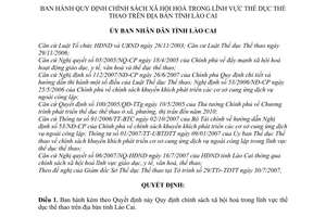 Quyết định 43/2007/QĐ-UBND  chính sách xã hội hoá trong lĩnh vực thể thao