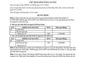 Quyết định 935/QĐ-UBND 2007 đính chính Quyết định 01/2007/QĐ-UBND Lai Châu