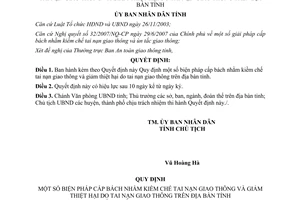 Quyết định 29/2007/QĐ-UBND biện pháp kiềm chế giảm tai nạn giao thông Bình Định