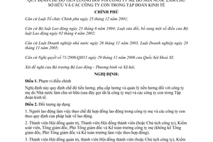 Nghị định 141/2007/NĐ-CP chế độ tiền lương đối với công ty mẹ do Nhà nước làm chủ sở hữu công ty con trong Tập đoàn kinh tế