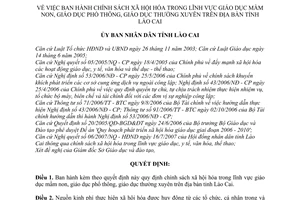 Quyết định 66/2007/QĐ-UBND chính sách xã hội hóa trong lĩnh vực giáo dục mầm non