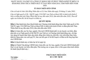 Quyết định 2093/QĐ-UBND năm 2007 phát triển kinh tế biển và đầm phá