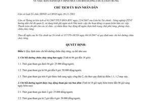 Quyết định 2833/QĐ-CT 2007 mức chi bồi dưỡng chữa cháy rừng Vĩnh Phúc