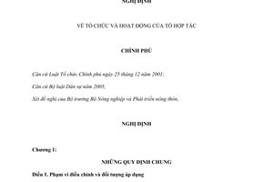 Nghị định 151/2007/NĐ-CP tổ chức hoạt động tổ hợp tác