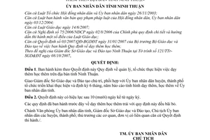 Quyết định 265/2007/QĐ-UBND quản lý, tổ chức thực hiện dạy thêm học thêm địa bàn tỉnh Ninh Thuận
