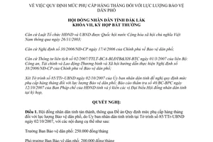 Nghị định 25/2007/NQ-HĐND phụ cấp hàng tháng lực lượng Bảo vệ dân phố Đắk Lắk