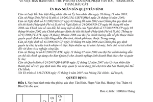 Quyết định 11/2007/QĐ-UBND mức thu phí chợ Tân Bình Phạm Văn Hai Hoàng Hoa Thám Bàu Cát quận Tân Bình