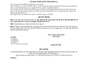 Quyết định 21/2007/QĐ-UBND chế độ công tác phí, chế độ chi tổ chức