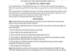 Quyết định 175/QĐ-TT-HCTH Quy định thủ tục hành chính thời gian giải quyết lĩnh vực mô hình một cửa