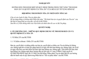 Nghị quyết 02/2007/NQ-HĐTP hướng dẫn thi hành quy định trong phần thứ năm "Thi hành Bản án và quyết định của Tòa án"