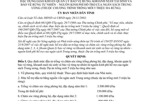 Quyết định 2497/QĐ-UBND mức hỗ trợ đầu tư trồng rừng và chăm sóc rừng