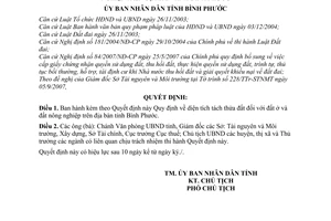 Quyết định 51/2007/QĐ-UBND diện tích tách thửa đất