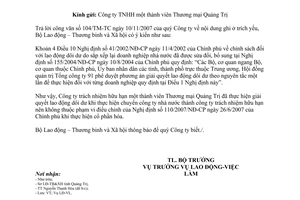 Công văn 4479/LĐTBXH-LĐVL  thực hiện chính sách  người lao động dôi dư theo NĐ 110/2007/NĐ-CP