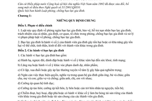Luật phòng, chống bạo lực gia đình 2007 02/2007/QH12