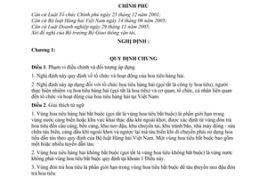 Nghị định 173/2007/NĐ-CP tổ chức hoạt động của hoa tiêu hàng hải