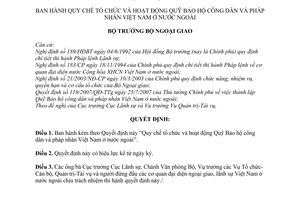 Quyết định 2985/2007/QĐ-BNG quy chế tổ chức hoạt động quỹ bảo hộ công dân pháp nhân Việt Nam ở nước ngoài