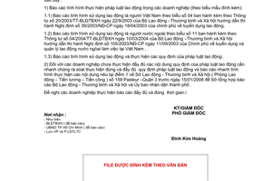 Công văn 6026/LĐTBXH-LĐ  báo cáo tình hình thực hiện pháp luật lao động