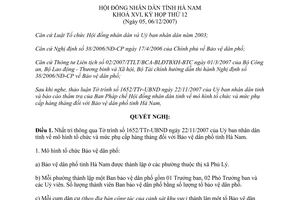 Nghị quyết 09/2007/NQ-HĐND tổ chức và phụ cấp hàng tháng đối với Bảo vệ dân phố