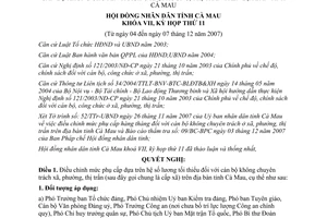 Nghị quyết 116 /2007/NQ-HĐND điều chỉnh phụ cấp cán bộ không chuyên trách Cà Mau