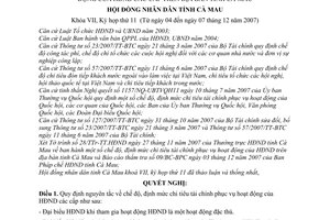 Nghị quyết 125/2007/NQ-HĐND quy định chế độ, định mức chi tiêu tài chính phục vụ hoạt động Hội đồng nhân dân các cấp trên địa bàn tỉnh Cà Mau