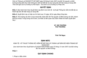 Quyết định 20/2007/QĐ-BTNMT Định mức kinh tế kỹ thuật Thống kê, kiểm kê đất đai thành lập bản đồ hiện trạng sử dụng đất