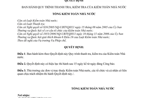 Quyết định 11/2007/QĐ-KTNN quy trình thanh tra, kiểm tra của Kiểm toán Nhà nước