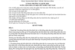 Nghị quyết 545/2007/NQ-UBTVQH12 thành lập và quy định vị trí, chức năng, nhiệm vụ, quyền hạn, cơ cấu tổ chức Văn phòng đoàn đại biểu Quốc hội và HĐND