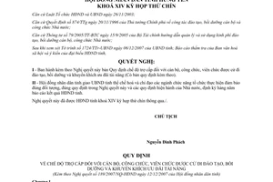 Nghị quyết 189/2007/NQ-HĐND chế độ trợ cấp đối với cán bộ công viên chức