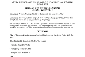 Nghị quyết 19/2007/NQ-HĐND thông qua kết quả rà soát quy hoạch lại 3 loại rừng Quảng Ninh