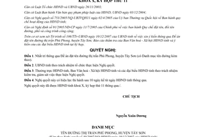 Nghị quyết 30/2007/NQ-HĐND Đề án đặt tên đường thị trấn Phú Phong huyện Tây Sơn tỉnh Bình Định