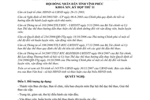 Nghị quyết 25/2007/NQ-HĐND về chính sách cho huấn luyện vận động viên thể dục