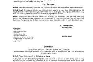 Quyết định 106/2007/QĐ-BNN quy định quản lý sản xuất kinh doanh rau an toàn