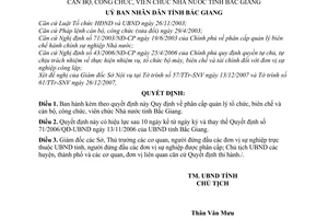 Quyết định 108/2007/QĐ-UBND quy định phân cấp quản lý tổ chức bộ máy, biên chế cán bộ, công chức, viên chức nhà nước tỉnh Bắc Giang