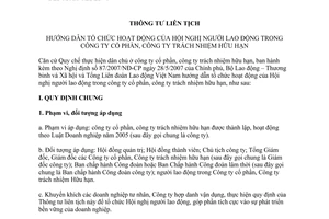Thông tư liên tịch 32/2007/TTLT-BLĐTBXH-TLĐLĐVN hướng dẫn tổ chức hoạt động của hội nghị người lao động trong công ty cổ phần, công ty TNHH