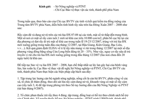 Công văn  08/BVTV Phòng trừ rầy nâu trên lúa Đông Xuân 2007 - 2008