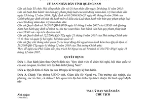 Quyết định 04/2008/QĐ-UBND tổ chức hội nghị, hội thảo quốc tế